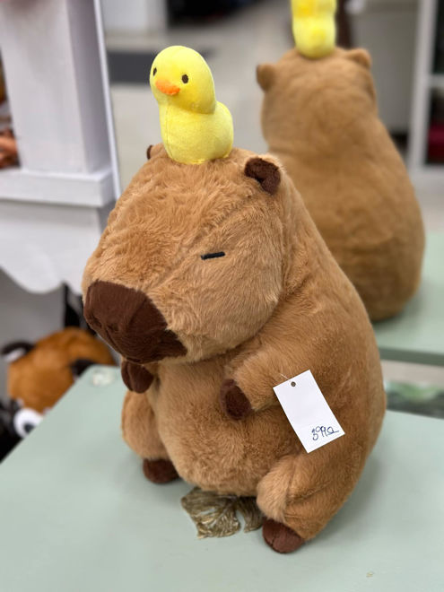 Kép: Capybara Plüss Kacsával 36cm