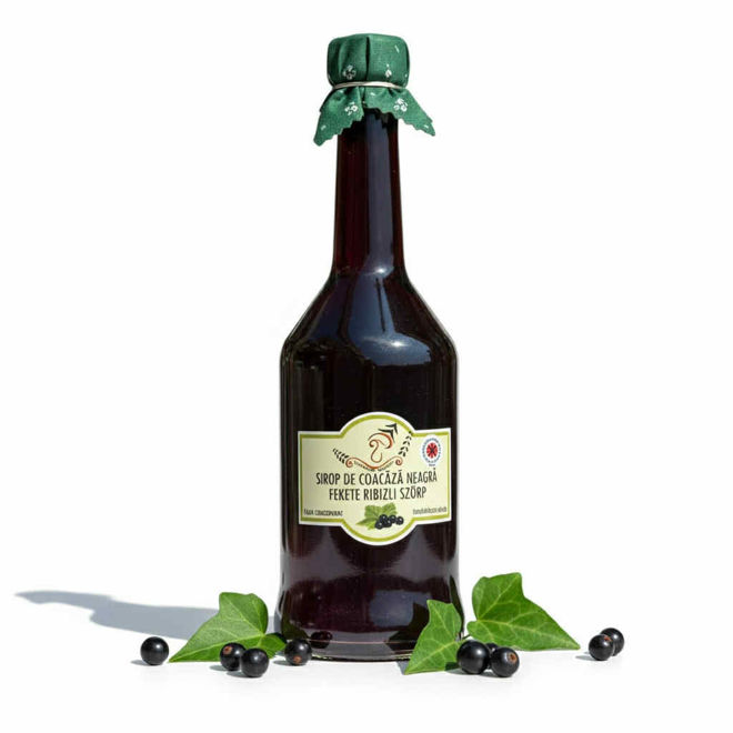 Kép: Sirop Fekete Ribizli Szörp